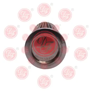 Distributor Equipment Diesel Engine Parts Air Filter.