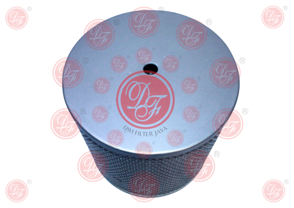 Y STRAINER FILTER FOR INDUSTRIAL VALVES