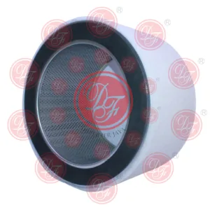 Y Strainer Filter