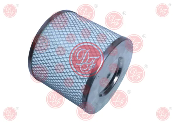 Y Strainer